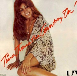 Tina Turner image