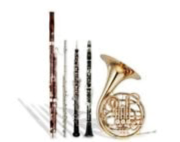 Woodwind instruments image
