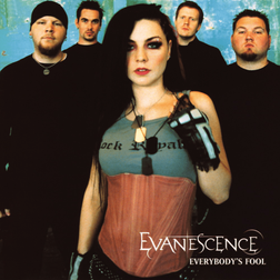 Evanescence LP image